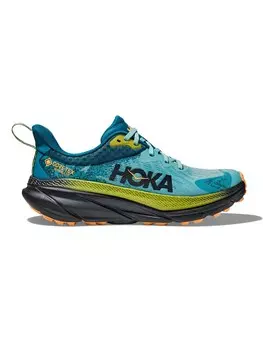 Горные кроссовки Hoka One One M CHALLENGER ATR 7 GTX, разноцветный