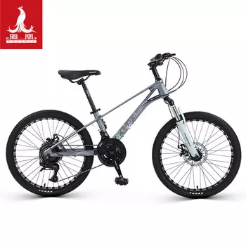 Горный велосипед Phoenix (Phoenix), студенческий велосипед для мужчин и женщин, молодежный велосипед, радужное, 22-дюймовое, 21-скоростное колесо со спицами, белое и зеленое