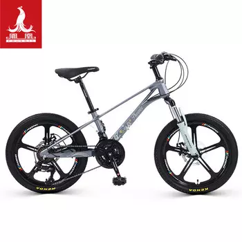 Горный велосипед Phoenix (Phoenix), студенческий велосипед для мужчин и женщин, молодежный велосипед Rainbow, 22-дюймовый, 21-скоростной, пятиножевой, белый и зеленый