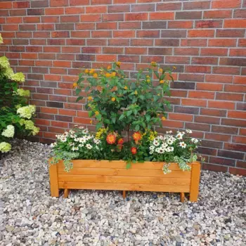 Горшок для растений промадино «Романтика», ШхГхВ: 120x38x34 см Promadino, цвет honigbraun