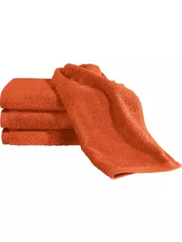 Гостевое полотенце Erwin Mller, цвет terra