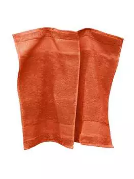 Гостевое полотенце Erwin Mller, цвет terra