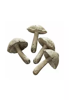 Грибной набор из 4 кремов Лаваля Loberon, creme