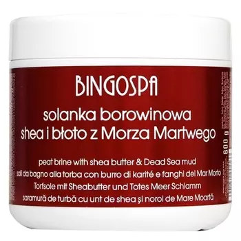 Грязь Мертвого моря и масло ши, рассол 600 г Bingo