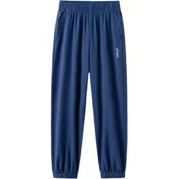 GS Брюки Asics, светло-серый