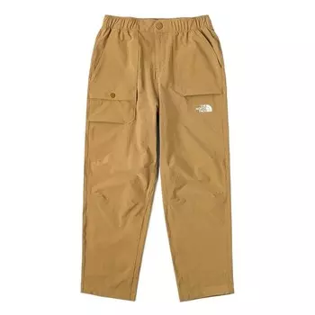 GS Брюки The North Face, коричневый