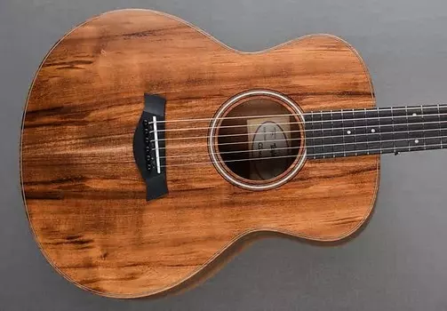 GS Мини-э Коа Taylor GS Mini-e