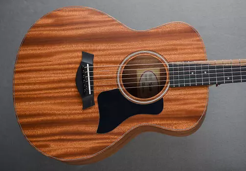 GS Mini-e Красное дерево Taylor