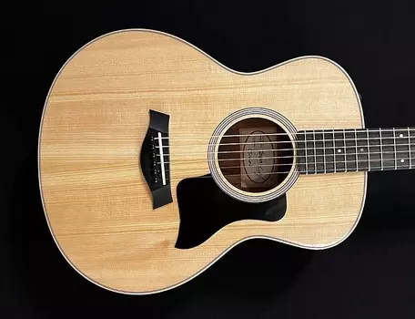 GS Mini-e палисандр плюс Taylor GS Mini-e Plus