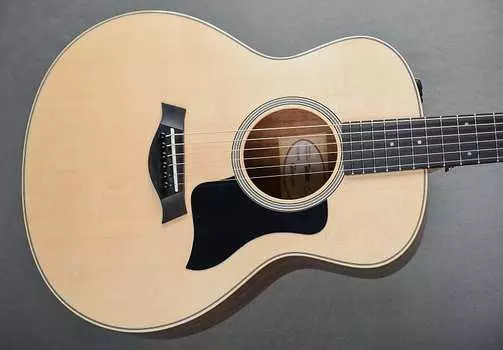 GS Mini-e палисандр плюс Taylor GS Mini-e Plus