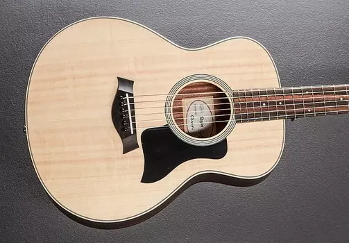 GS Mini-e палисандр Taylor