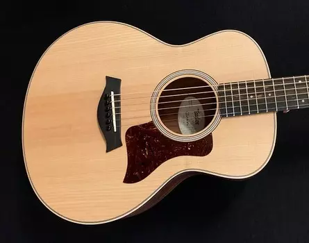 GS Мини палисандр Taylor GS Mini