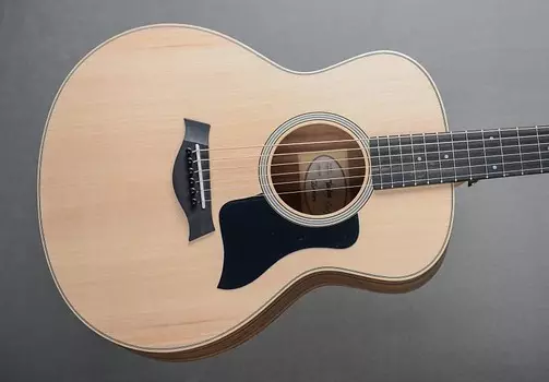 GS Мини палисандр Taylor GS Mini