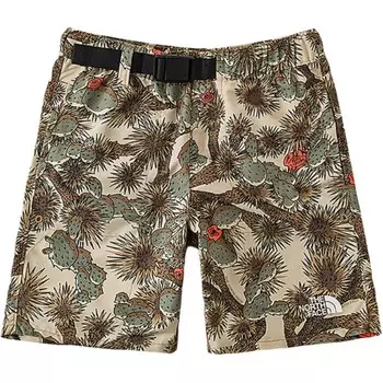 GS Шорты The North Face, цвет Print