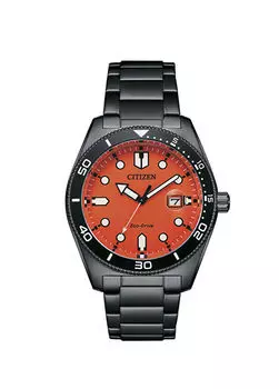 Gts Sports aw1765-88x мужские наручные часы Bering, черный