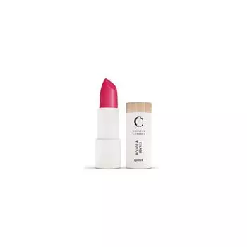 Губная помада Barra De Labios Glossy Couleur Caramel, цвет n502 flash rose