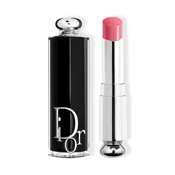 Губная помада Dior Addict Refill, 373 Rose Celestial