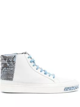 Gucci кеды на шнуровке, белый