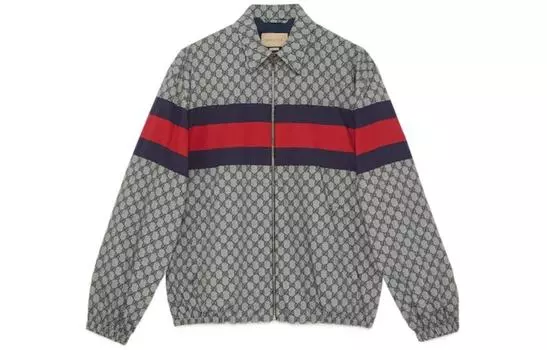Мужская куртка Gucci, серый/синий