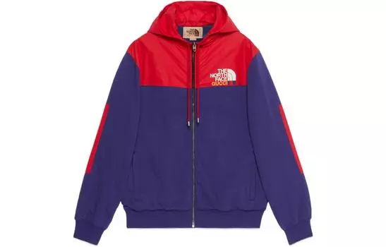 Куртка мужская Gucci x The North Face, синий / красный