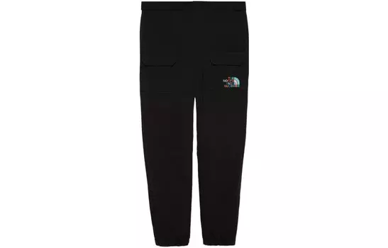 Брюки мужские Gucci x The North Face, черный
