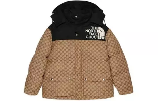 Пуховик мужской Gucci x The North Face, коричневый / черный