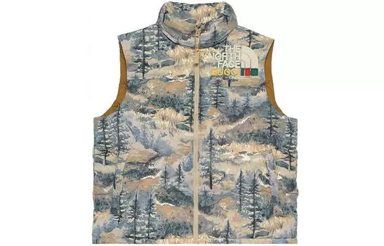 Жилет женский Gucci x The North Face, серый / коричневый