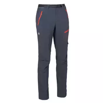 Gundor Pt M Ternua мужские брюки, серый