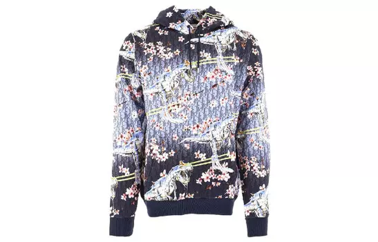 Hajimesorayama Quarterly Новые продукты Толстовка Мужская Многоцветная Dior, цвет Multicolor