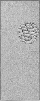 HANSE Home бегун "Wolly 2", прямоугольный, плоского плетения, ковер, имитация шерсти, Сканди, столовая, гостиная, прихожая 80х300 см, серый