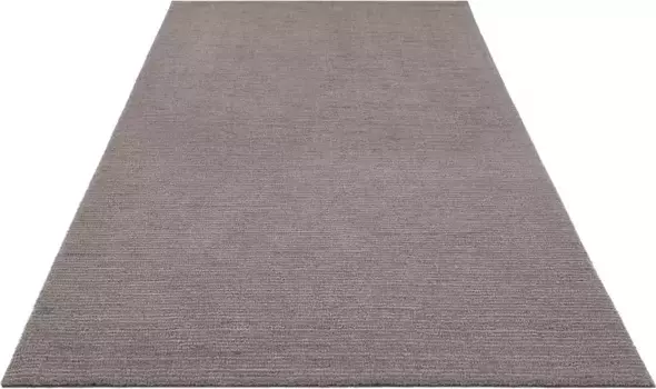 HANSE Home Carpet "Supersoft", прямоугольный, короткий ворс, ковер, современный, однотонный, гостиная, спальня 120х170 см, темно-серый