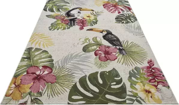 HANSE Home уличный ковер "Tropical Dream", прямоугольный, для дома и улицы, ковер, устойчивый к атмосферным воздействиям, для балкона, сада, гостиной 240х340 см, кремовый