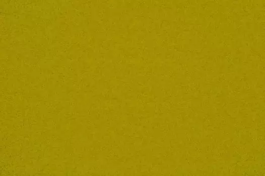 HEY-SIGN подушка JIM квадратная 40 x 40 см с фетровой пуговицей, включая перьевую подушку разных цветов, Hey Sign_цвет: 71 - мох, Hey Sign_размер: подушка JIM квадратная 40 x 40 см