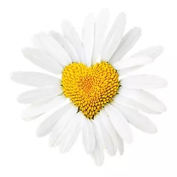 HIBROS Мыло для эпиляции 150мл