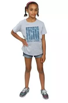 Хлопковая футболка цвета лиги справедливости с двойным рисунком цвета индиго DC Comics, серый