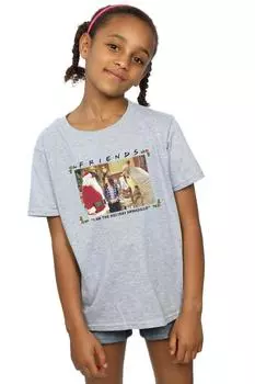 Хлопковая футболка I Am The Holiday Armadillo Friends, серый