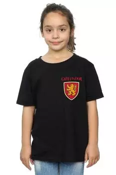 Хлопковая футболка с искусственным карманом «Гриффиндорский лев» Harry Potter, черный