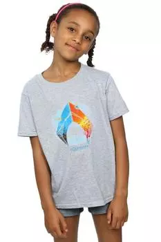 Хлопковая футболка с тропическим логотипом Aquaman DC Comics, серый