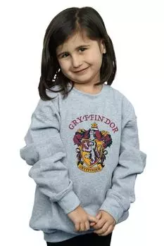 Хлопковая толстовка Гриффиндора Harry Potter, серый