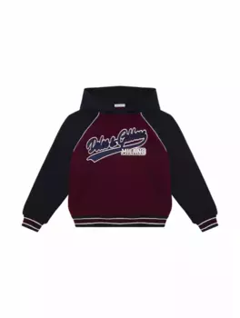 Хлопковое худи с логотипом Dolce&Gabbana, мультиколор