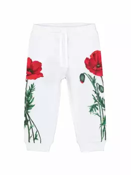 Хлопковые джоггеры с принтом маков Dolce&Gabbana