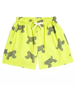 Хлопковые шорты с принтом Bobo Choses, зеленый