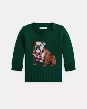 Хлопковый свитер для мальчика с изображением бульдога Polo Ralph Lauren, зеленый
