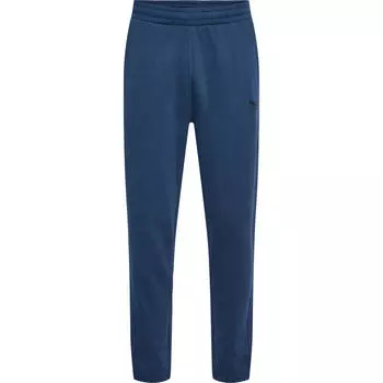 Hmlbooster Regular Pants Спортивные брюки унисекс для отдыха HUMMEL, цвет blau