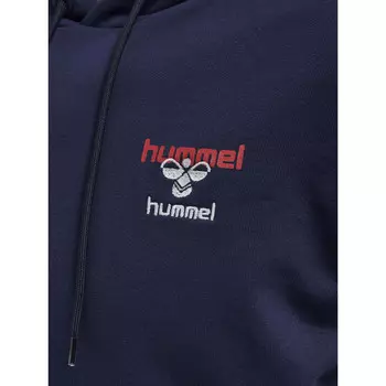 Hmlic Dayton Толстовка Толстовка унисекс HUMMEL