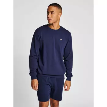 Hmlic Fred Толстовка с капюшоном для мужчин HUMMEL, цвет blau