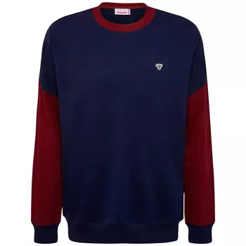 Hmlic Parker толстовка мужская для отдыха HUMMEL, цвет blau