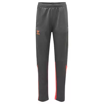 Hmlongrid Pants Wo Женские мультиспортивные брюки с технологией Beecool HUMMEL, цвет grau