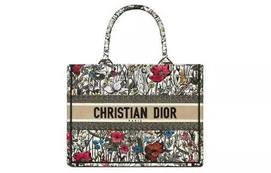 Холщовая сумка через плечо, сумка-шоппер, женская сумка-тоут, маленькая, разноцветная/с вышивкой DIOR