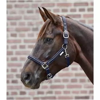 Холтер CRYSTAL ночь синий WALDHAUSEN, ночь синий